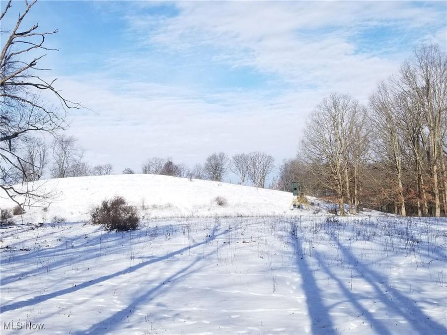 Lewis Road , Salineville, OH 43945 Photo 1