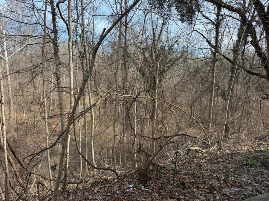 5220 Winton Ridge Lane, Cincinnati, OH 45232 Photo 36