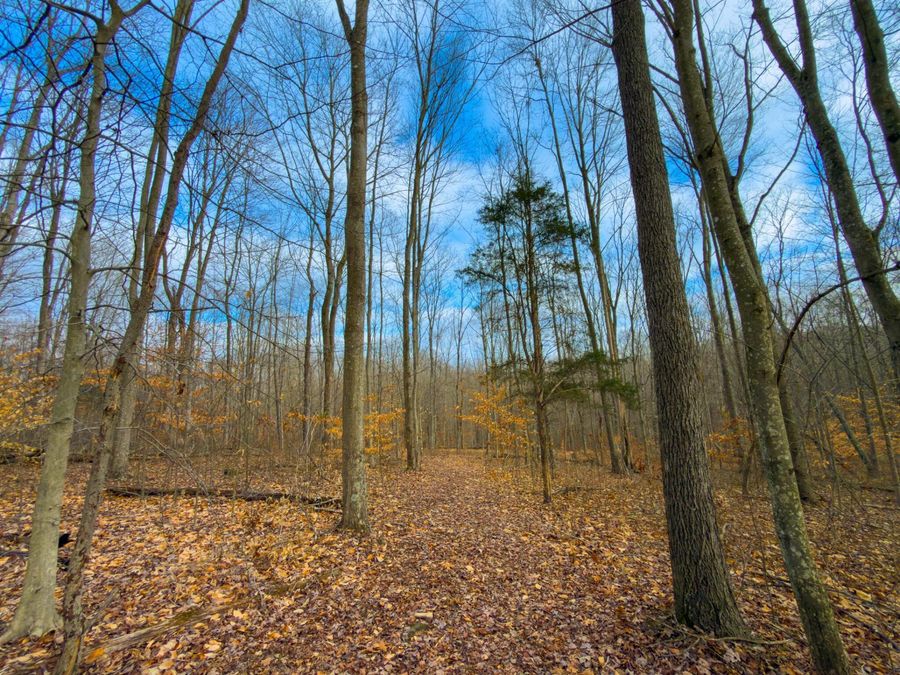 0 Long Fork Road , Piketon, OH 45661 Photo 1