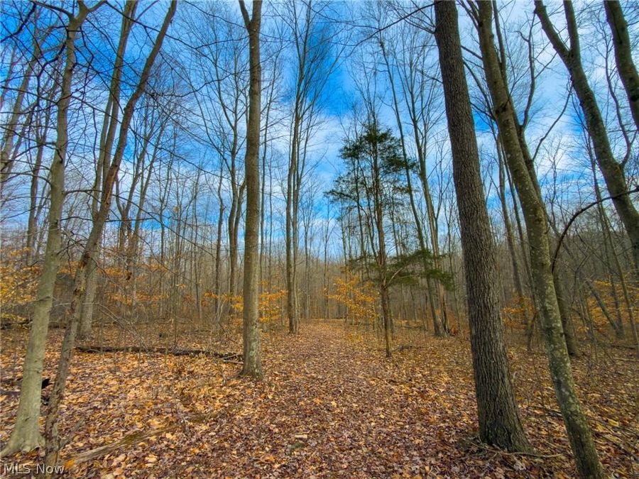0 Long Fork , Piketon, OH 45661 Photo 1