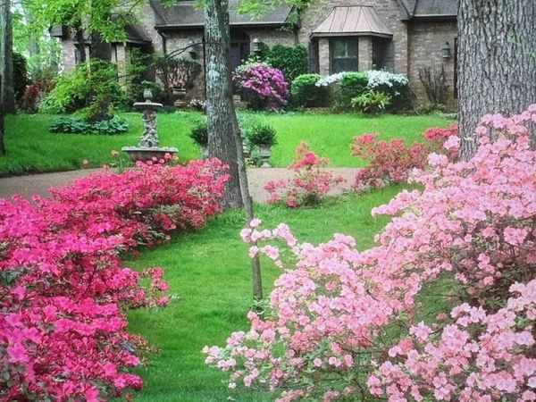 8181 MEADOW GLEN DR, Germantown, TN 38138