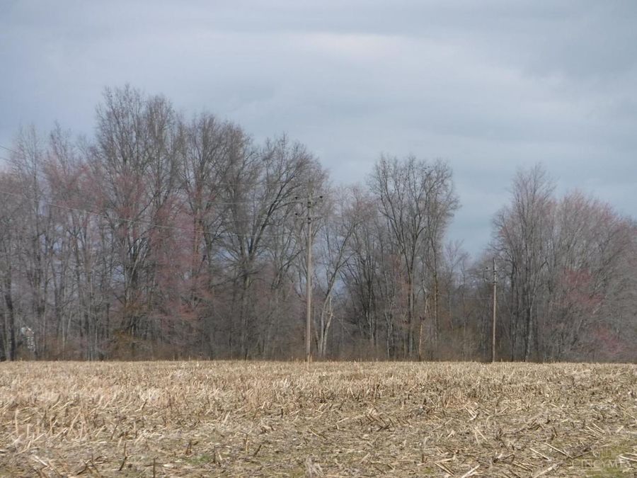 0 Spring Grove Road, Bethel, OH 45106 Photo 4