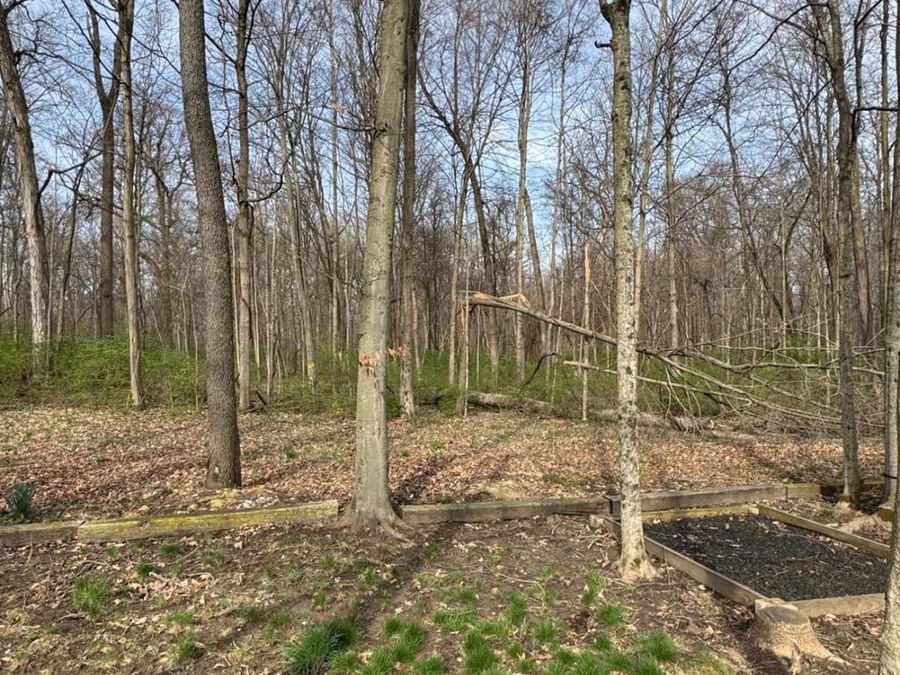 6361 Sterling Woods Drive, Clayton, OH 45315 Photo 73