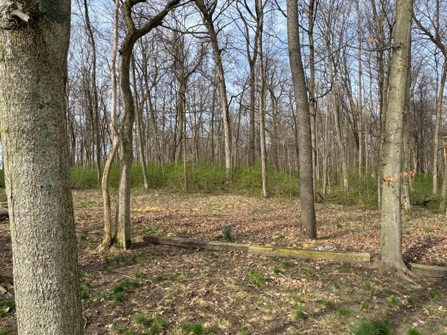6361 Sterling Woods Drive, Clayton, OH 45315 Photo 74