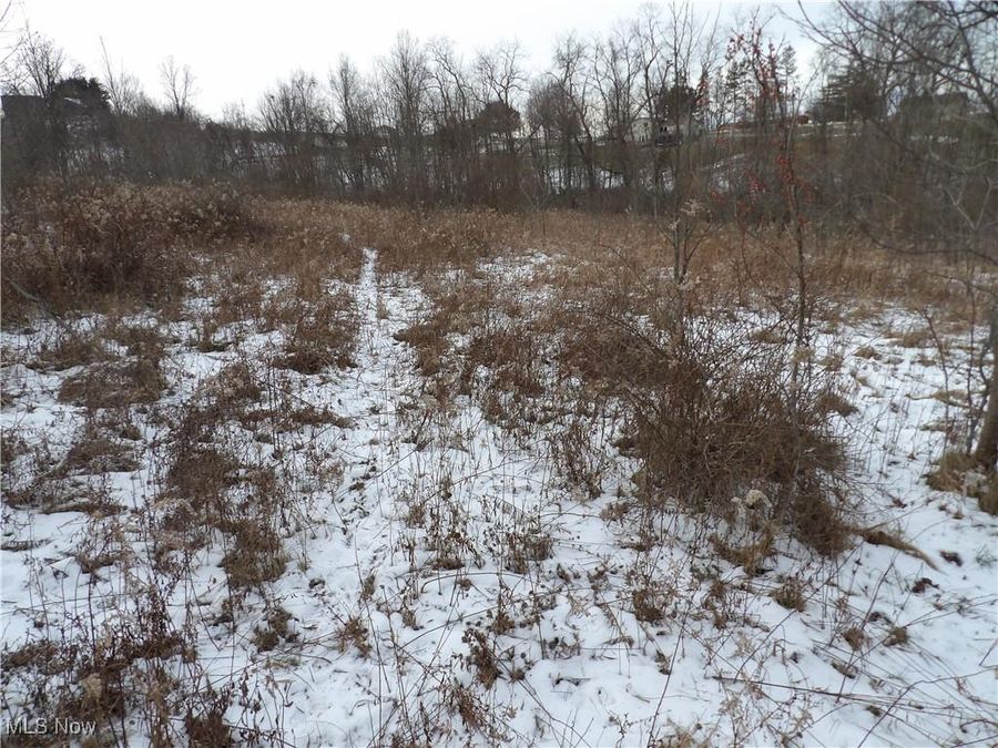 Belmont Centerville Rd , Belmont, OH 43718 Photo 1