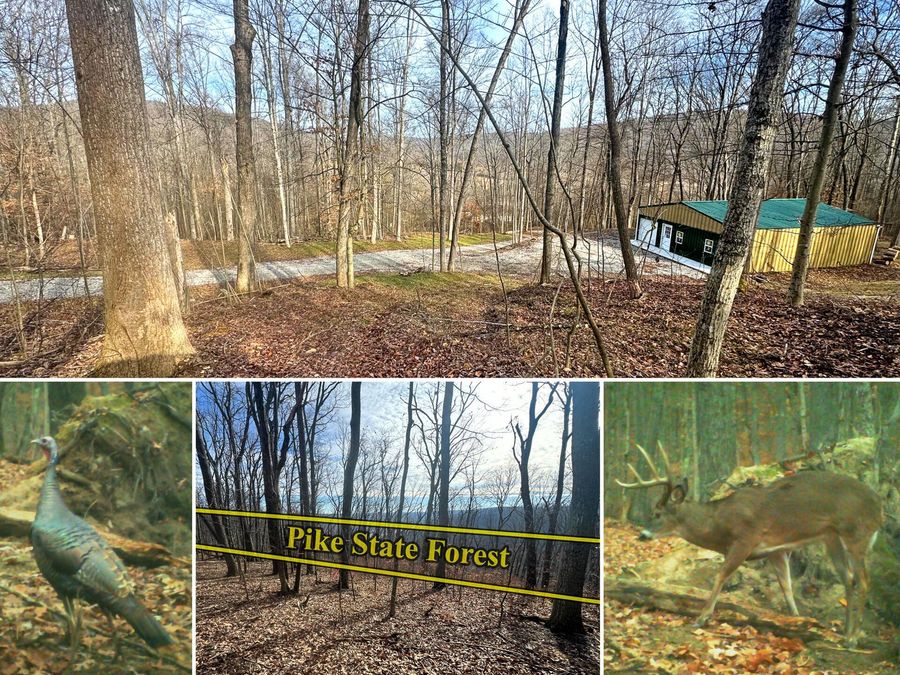 201 Pike Lake Rd Road , Unit (Tract 3 B, Bainbridge, OH 45612 Photo 1