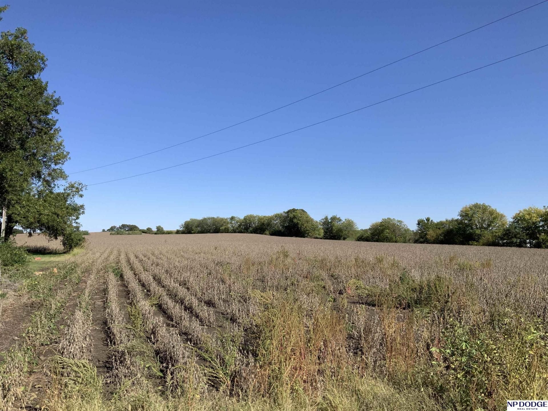 140th Van Dorn Street , Walton, NE 68461