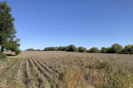 140th Van Dorn Street , Walton, NE 68461