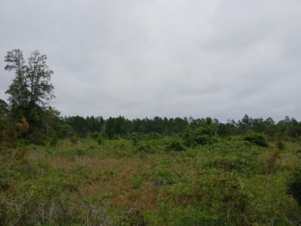 0 (LOT 3) Dogwood Lane, Unit LOT 3, Folkston, GA 31537