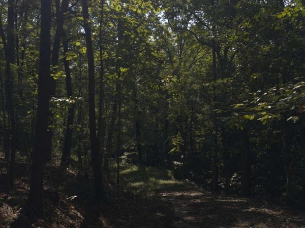 3746 Leach Road, Gainesville, GA 30506