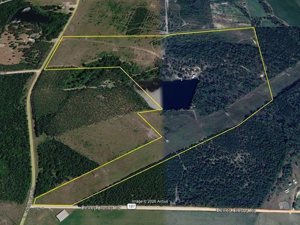 0 Hammond Powell Road, Hazlehurst, GA 31539