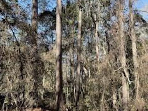 28 Deer Trail Lane, Midway, GA 31320