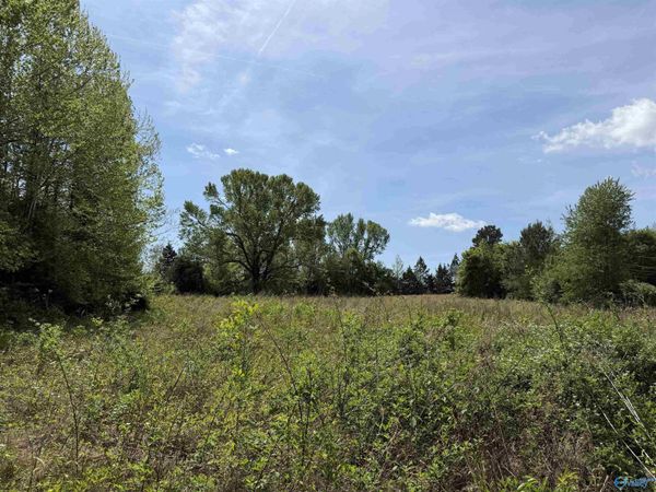 24 County Road 140, Town Creek, AL 35672