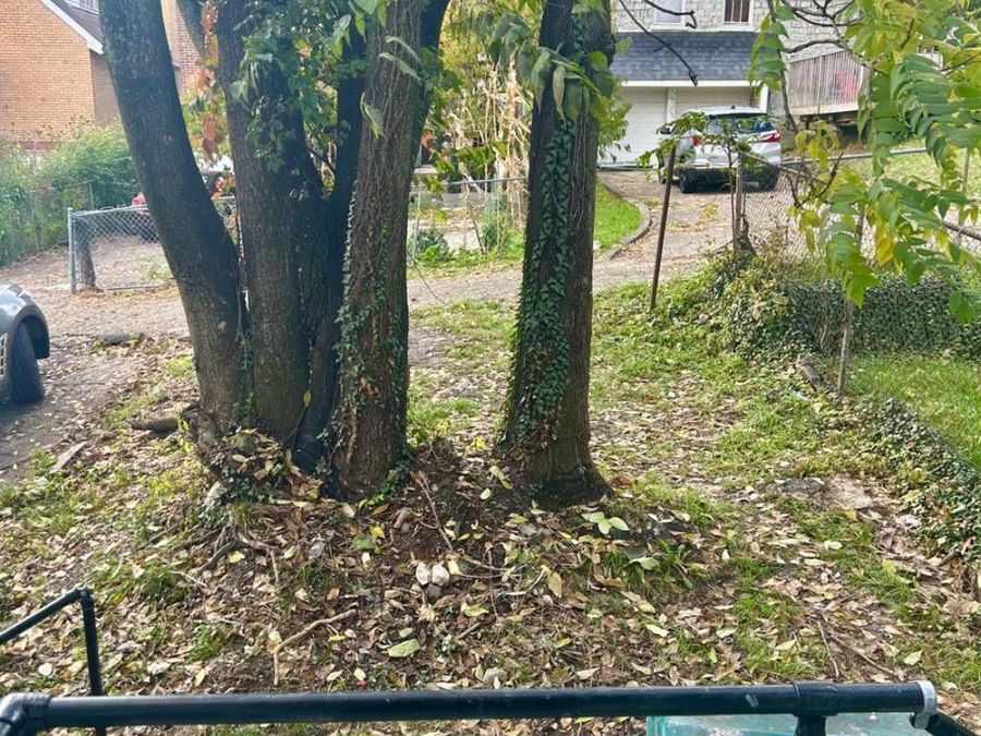 1613 Wyoming Avenue, Cincinnati, OH 45205 Photo 24