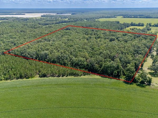 8289 NE HIGHWAY 349 , OLD TOWN, FL 32680