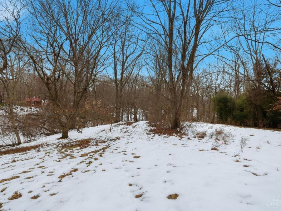9469 Beech Drive, Springfield Township, OH 45231 Photo 49