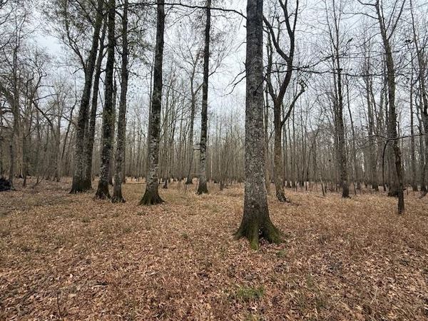 79 HIGHWAY 70 @ HWY, Stanton, TN 38069