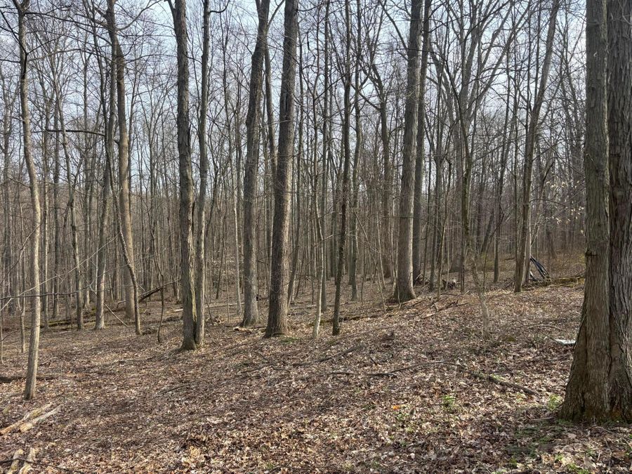 17951 E Shady Lane Road , Butler, OH 44822 Photo 1