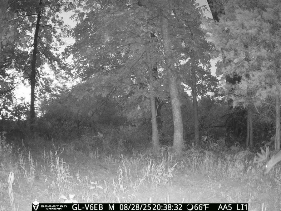 0 Harriett Road, Marshall Township, OH 45133 Photo 31