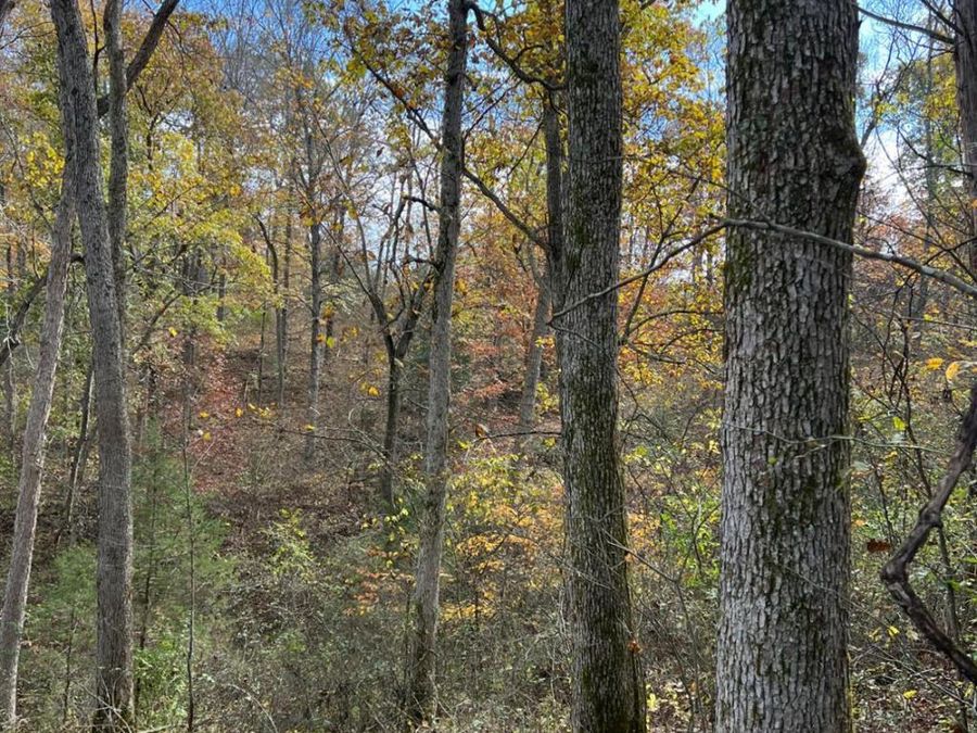 0 Harriett Road, Marshall Township, OH 45133 Photo 39