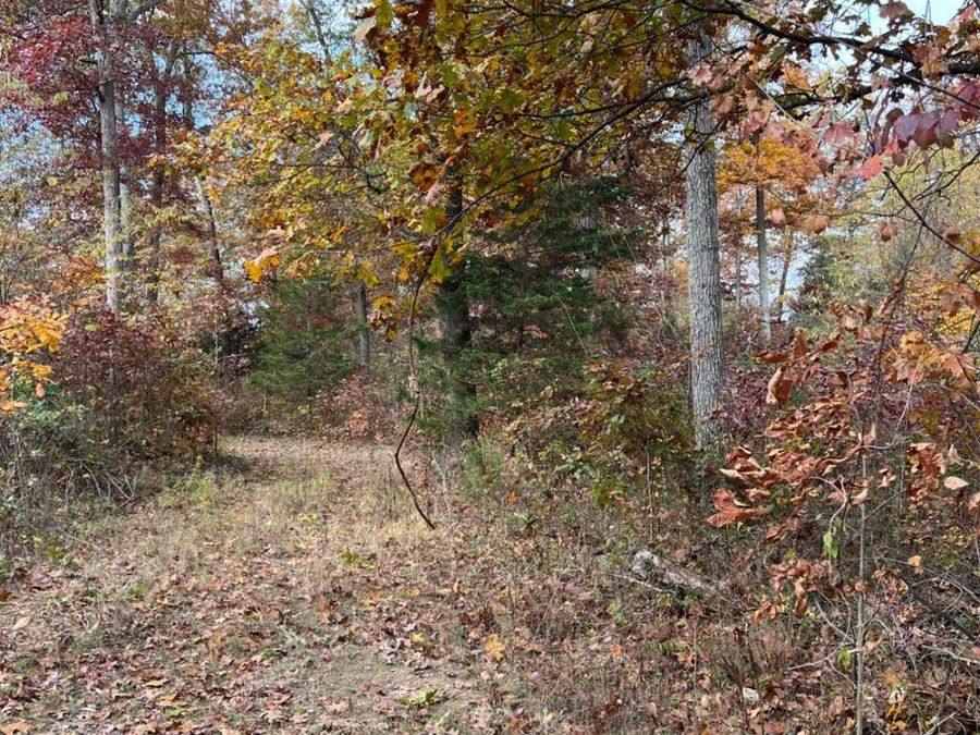 0 Harriett Road, Marshall Township, OH 45133 Photo 48