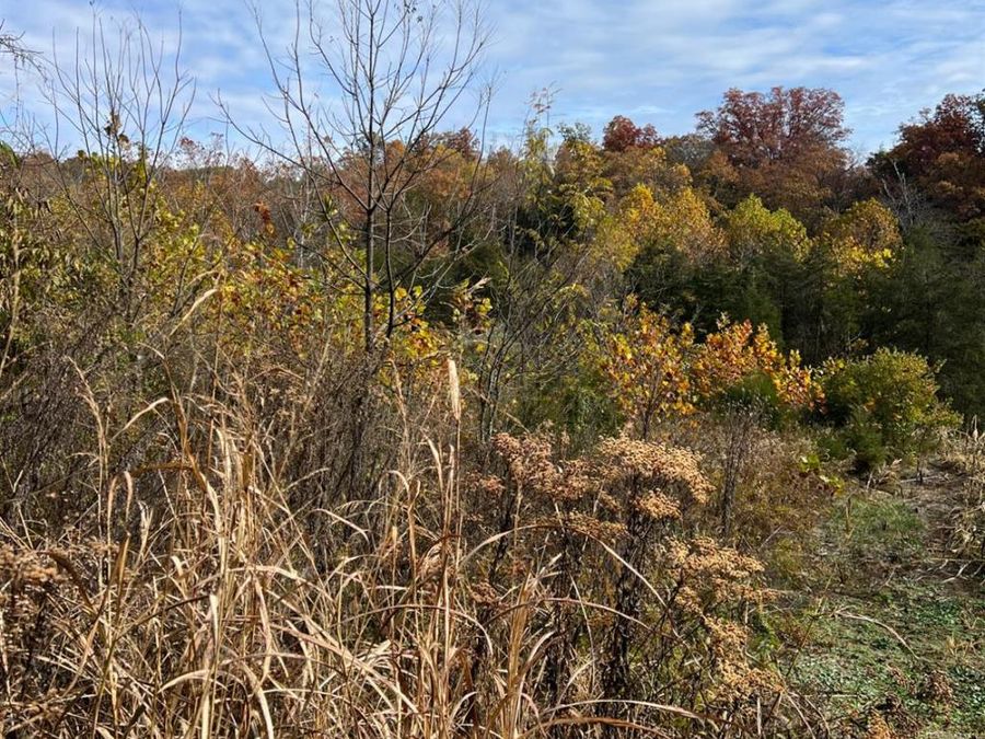 0 Harriett Road, Marshall Township, OH 45133 Photo 50