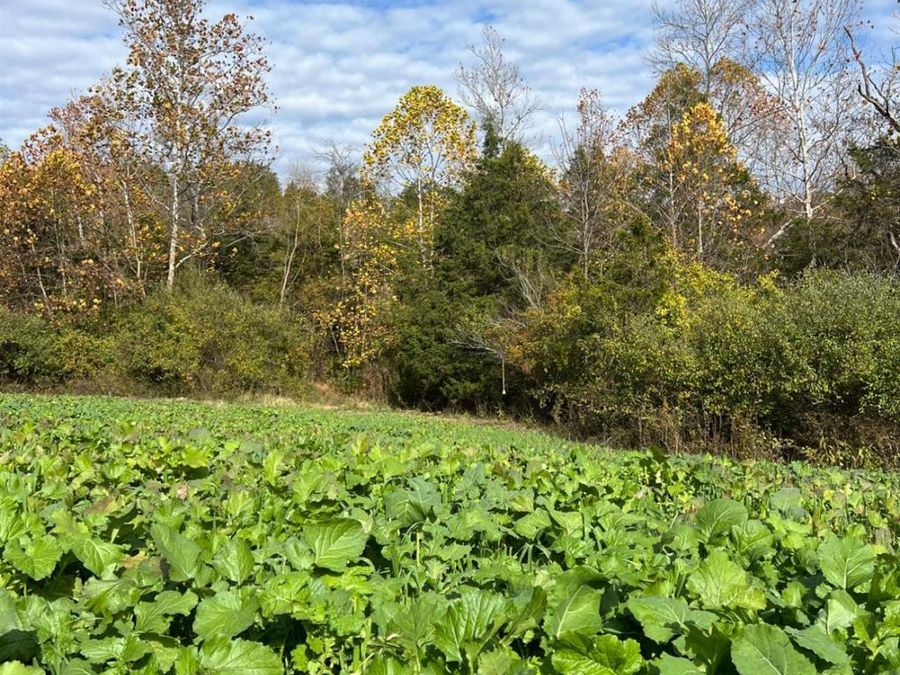 0 Harriett Road, Marshall Township, OH 45133 Photo 54