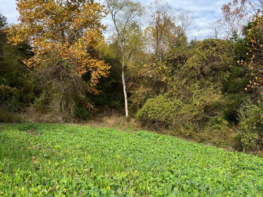 0 Harriett Road, Marshall Township, OH 45133 Photo 58