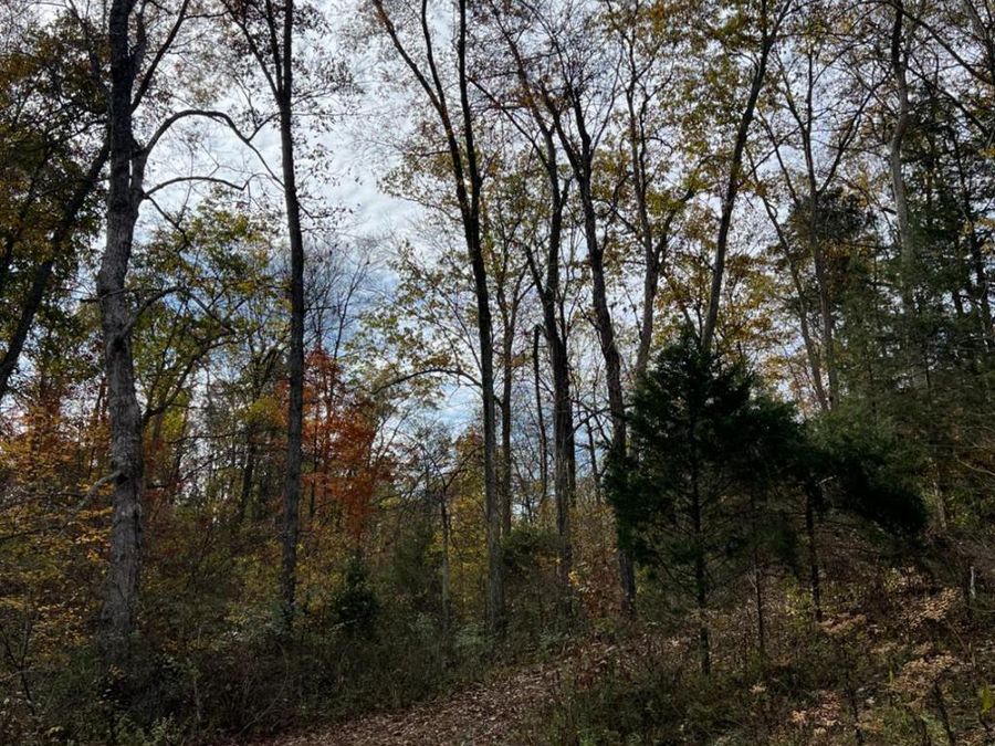 0 Harriett Road, Marshall Township, OH 45133 Photo 68