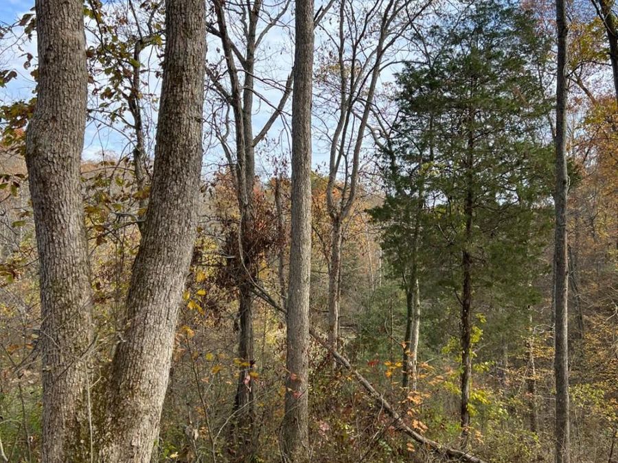 0 Harriett Road, Marshall Township, OH 45133 Photo 71