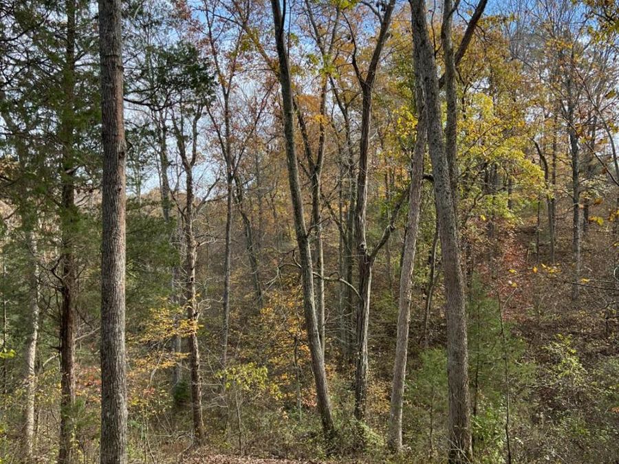 0 Harriett Road, Marshall Township, OH 45133 Photo 72