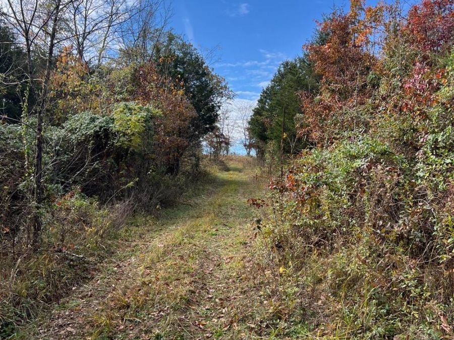 0 Harriett Road, Marshall Township, OH 45133 Photo 8