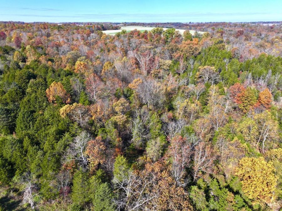 0 Harriett Road, Marshall Township, OH 45133 Photo 87