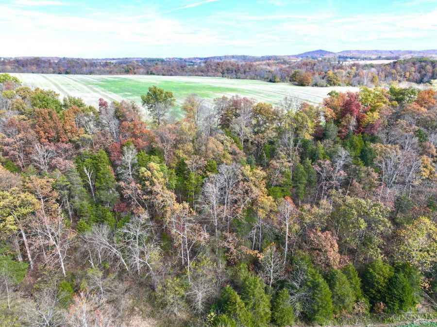 0 Harriett Road, Marshall Township, OH 45133 Photo 94
