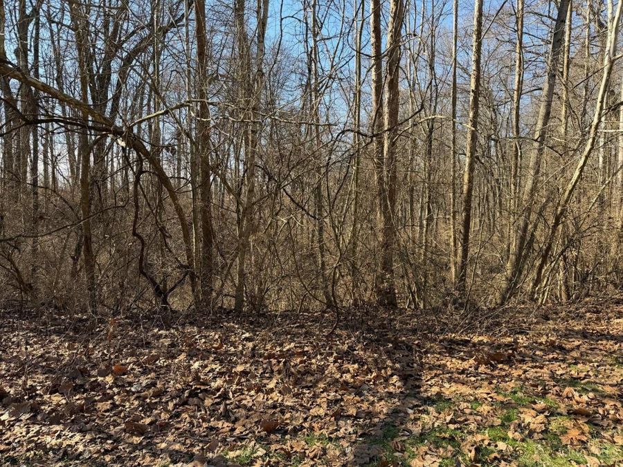 0 Watch Point Drive, Anderson Township, OH 45230 Photo 2