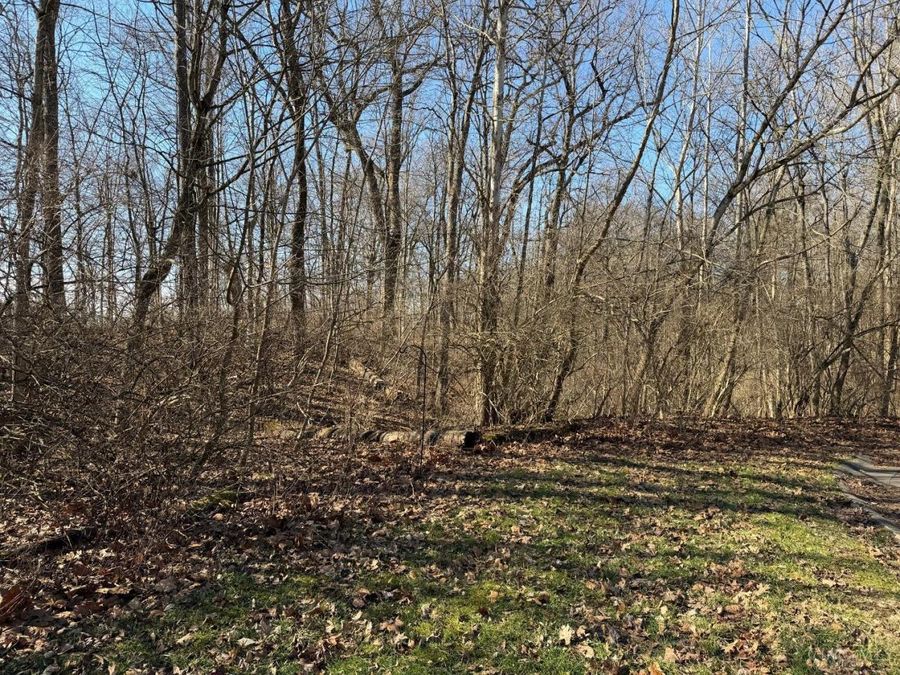 0 Watch Point Drive, Anderson Township, OH 45230 Photo 3