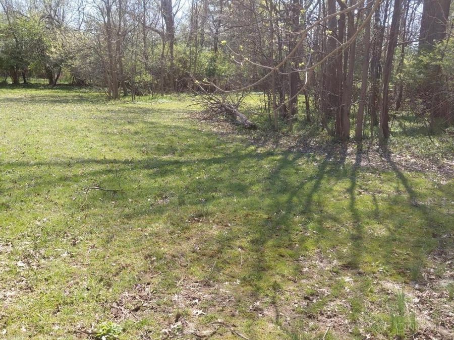 4555 Elizabeth Street, Cincinnati, OH 45242 Photo 3