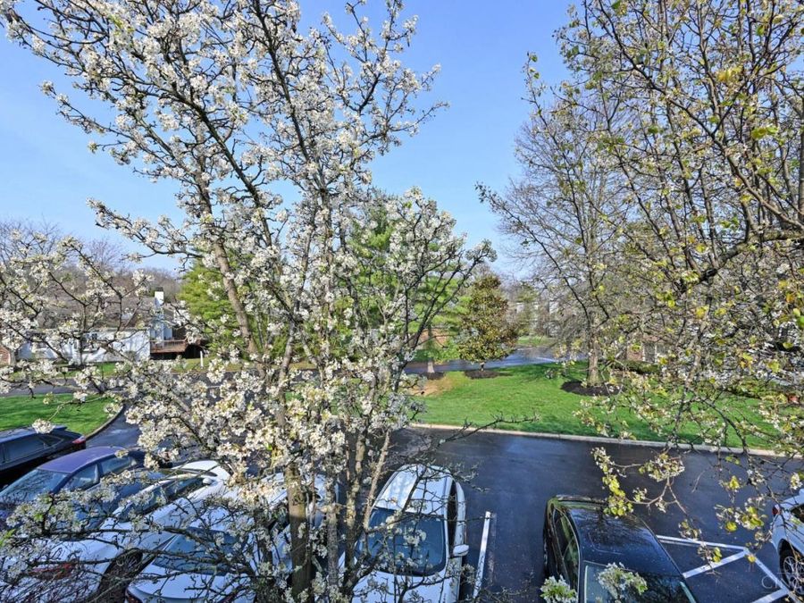1080 Wittshire Lane, Unit E, Anderson Township, OH 45255 Photo 35