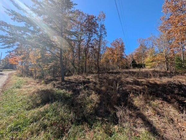 Lot 8 Raenne Drive, Spring City 37381