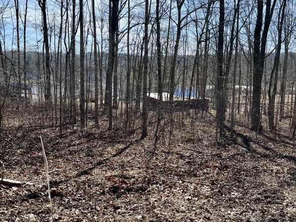 Lot 131 Quail Lane, Dunlap 37327