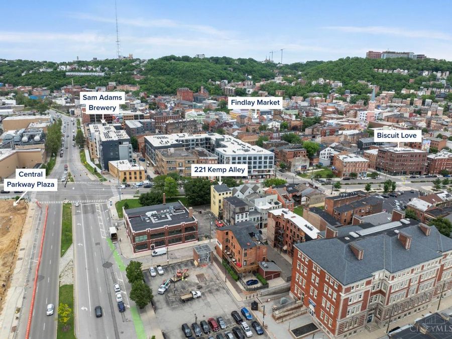 221 Kemp Alley, Cincinnati, OH 45202 Photo 57
