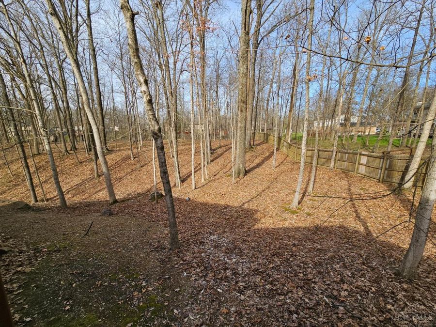 167 Dogwood Drive, Loveland, OH 45140 Photo 37