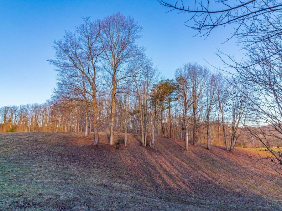 500 Ernie Road, Lynx, OH 45650 Photo 26