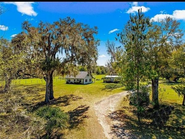 15950 NE 50TH STREET , WILLISTON, FL 32696