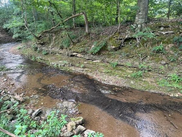 2143 Blue Springs Rd , Ashland City, TN 37015
