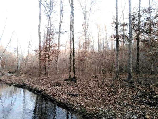 00 DEER RIDGE RD, Waynesboro, TN 38485