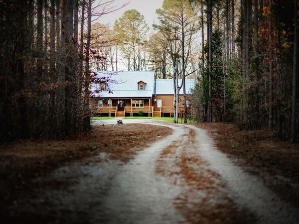 822 Cr 244, Abbeville, MS 38601