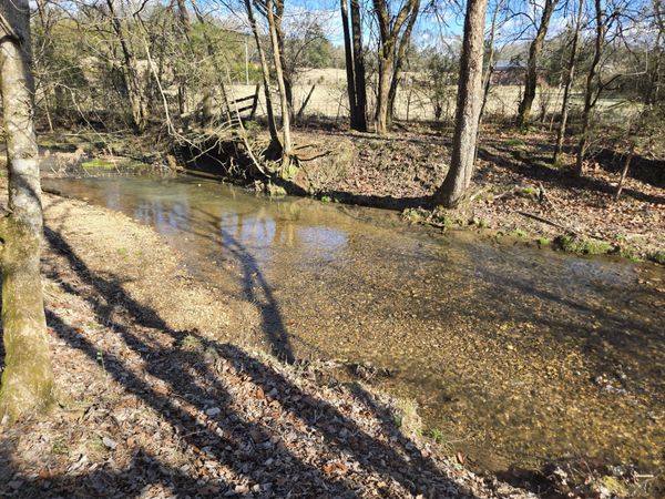 329 Cavender Rd , Woodbury, TN 37190
