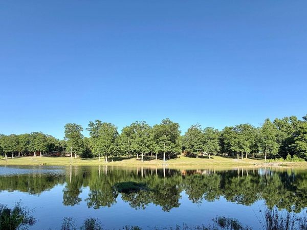 520 McGough Rd , Floral, AR 72534