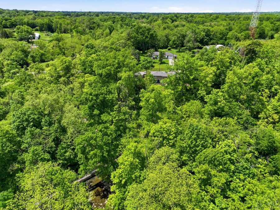 9808 Daly Road, Springfield Township, OH 45231 Photo 38